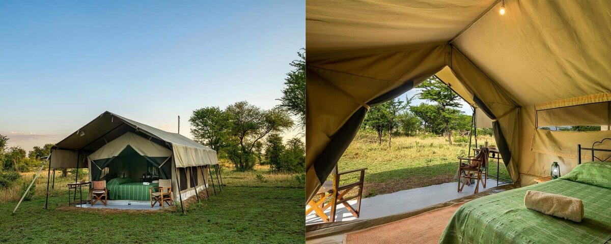 How Much Does a Honeymoon Safari Cost in Tanzania