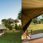 How Much Does a Honeymoon Safari Cost in Tanzania