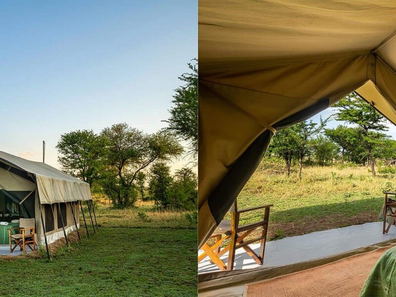 How Much Does a Honeymoon Safari Cost in Tanzania