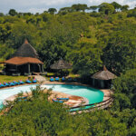 Which Lodges Are Best in Tarangire