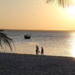 Can Couples Do Private Safari in Tanzania