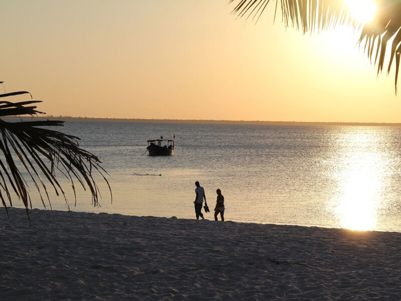 Can Couples Do Private Safari in Tanzania