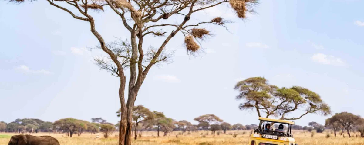 Is Tarangire Good for Photography