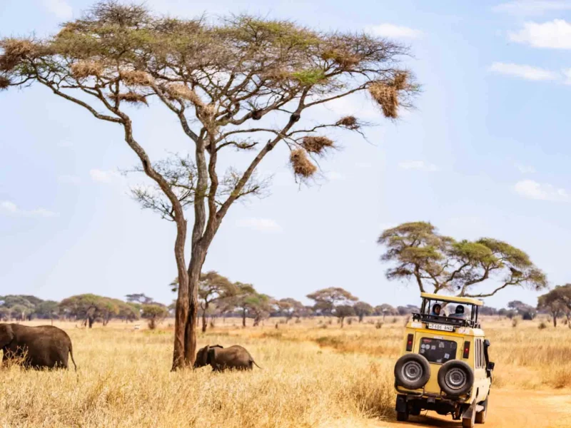 Is Tarangire Good for Photography