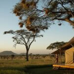 Which Serengeti Camps Are Best for Couples