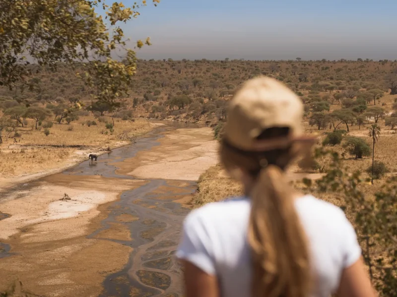 Can Families Visit Tarangire
