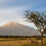 What Is the Best Day Trip From Arusha
