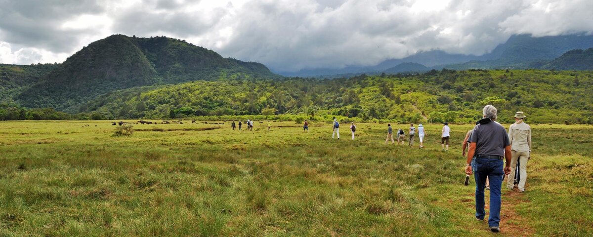 What Is the Best Safari Route From Arusha