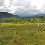 What Is the Best Safari Route From Arusha