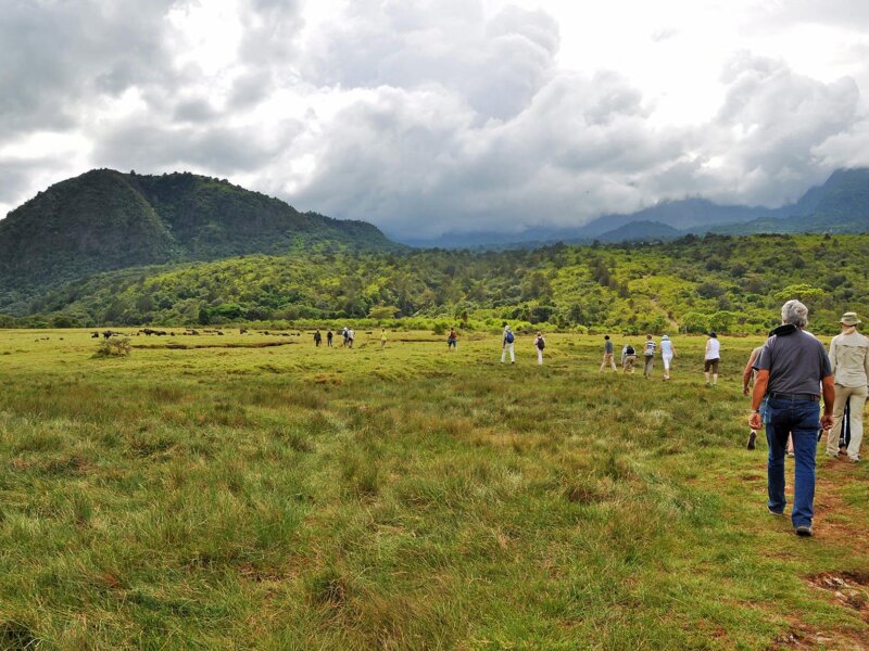 What Is the Best Safari Route From Arusha