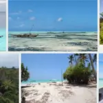 Which Beaches Are Best After Safari