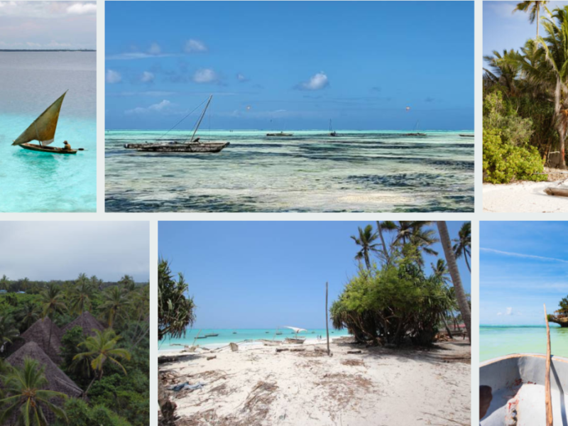 Which Beaches Are Best After Safari
