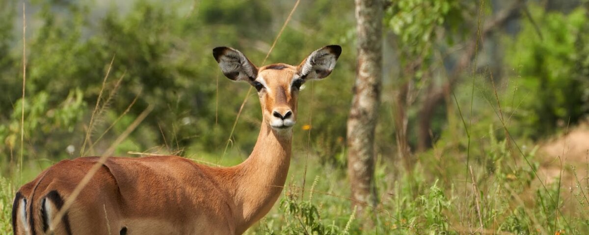 Burundi Photography Tours