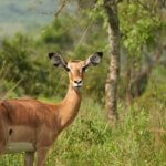 Burundi Photography Tours