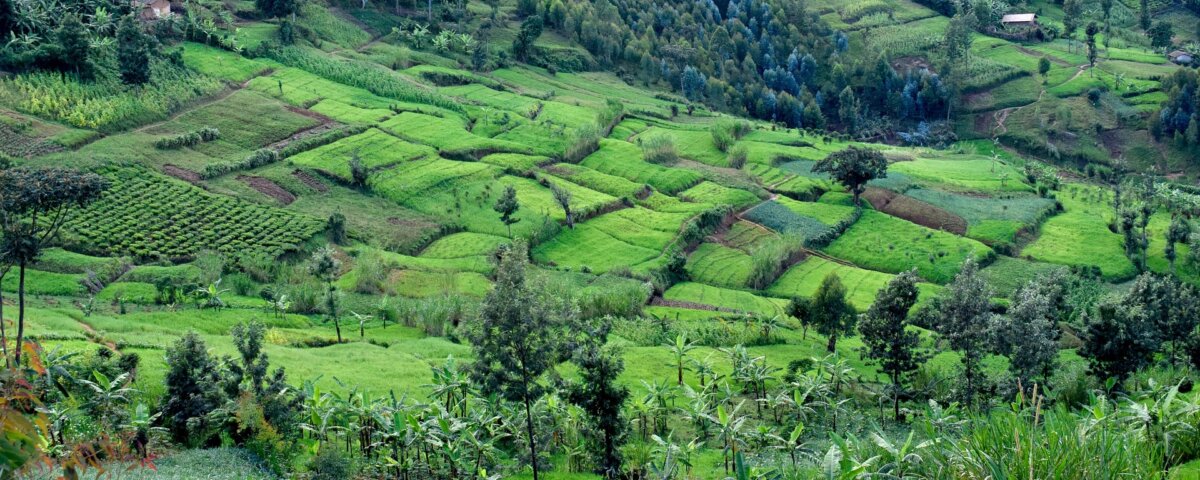 Bururi Forest Nature Reserve