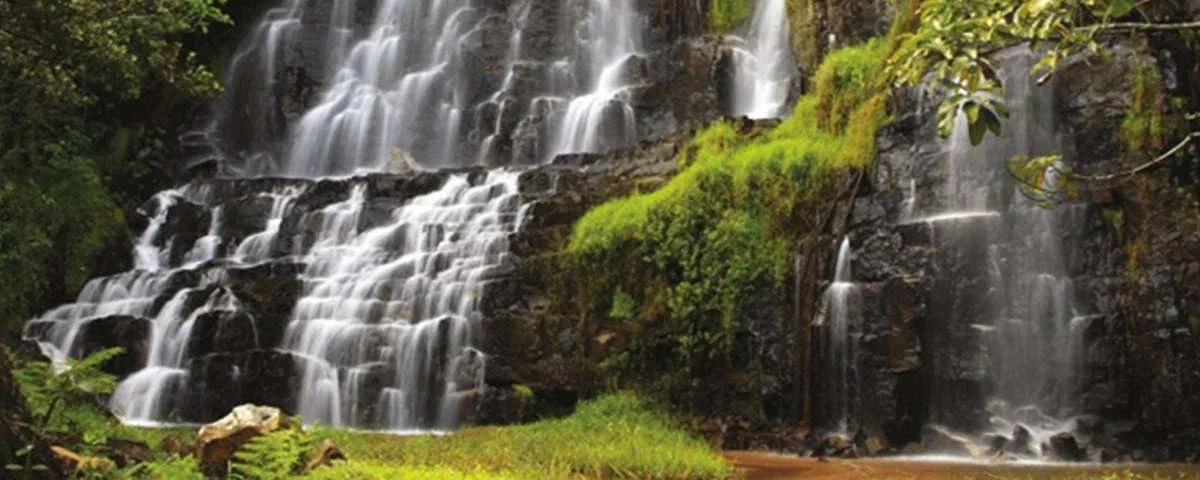 Kigwena Forest Nature Reserve