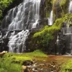 Kigwena Forest Nature Reserve