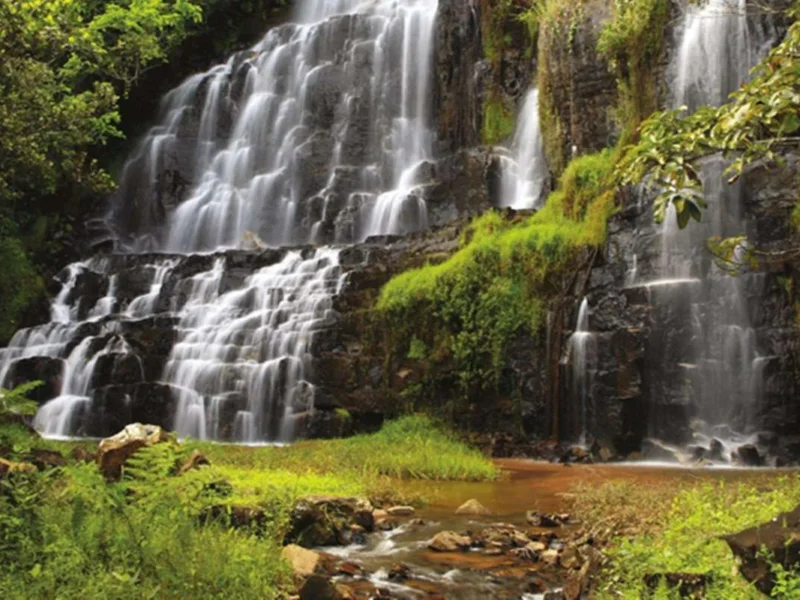 Kigwena Forest Nature Reserve