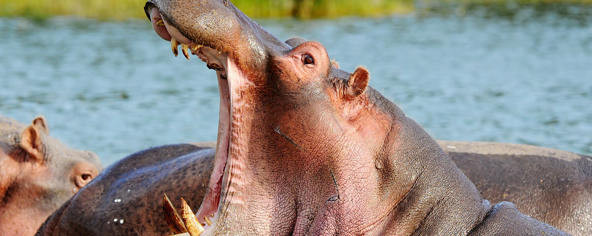 Rusizi National Park