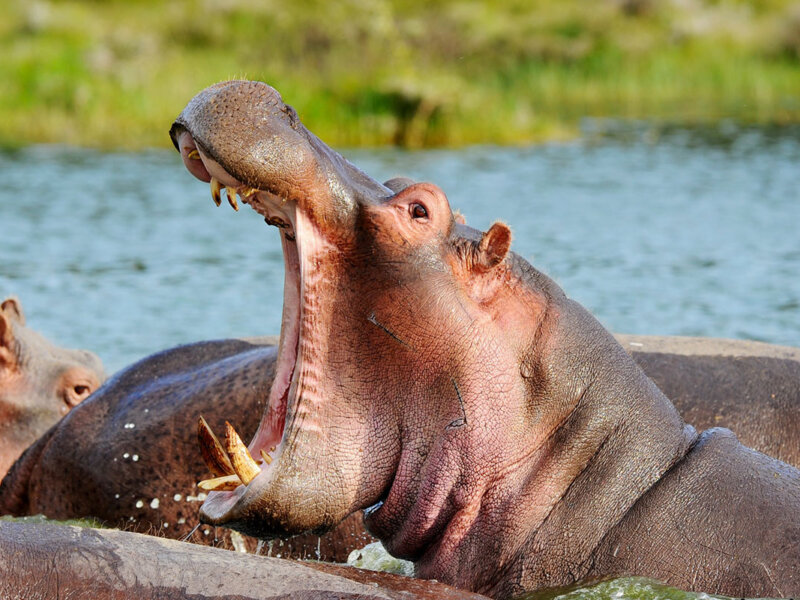 Rusizi National Park