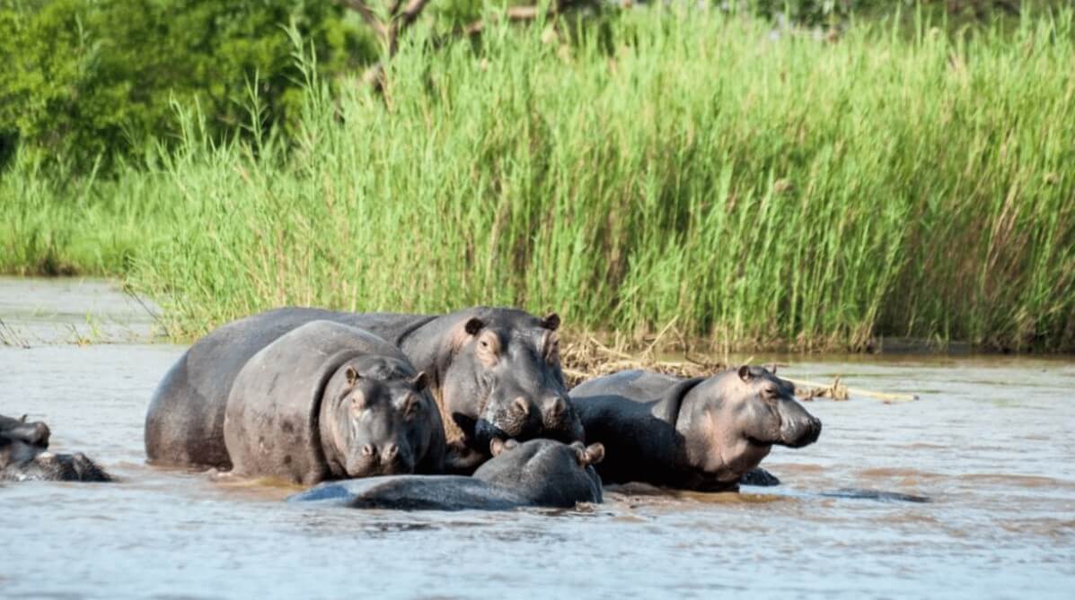 Rusizi National Park