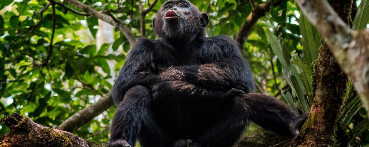 Ruvubu National Park