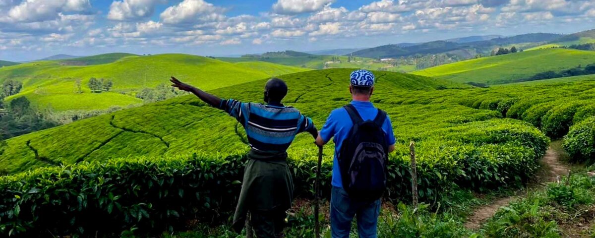 Teza Tea Plantation