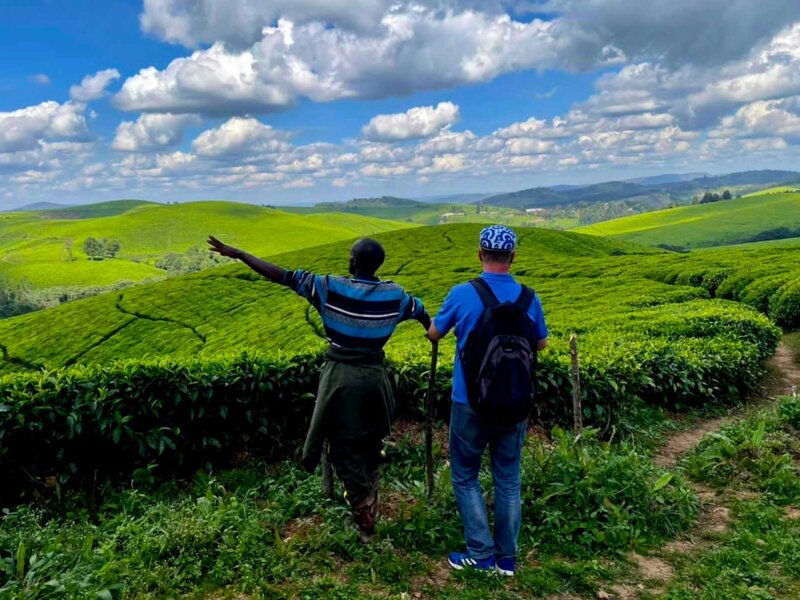 Teza Tea Plantation